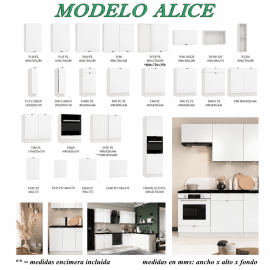 Modelo ALICE gama economica