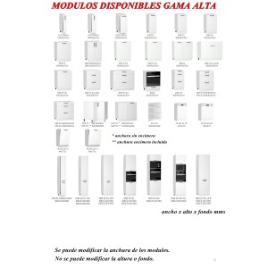 TECNICO MODULOS INFERIORES GAMA ALTA