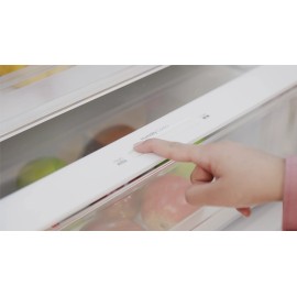 Frigorifico combi ref-04 EVVO modelo F60 200 cms