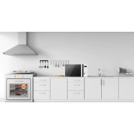 Microondas horno sobremesa ref-21 EVVO modelo M2W 20 litros