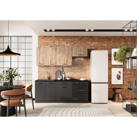 Modelo ANIKA gama economica Modelo ANIKA gama economica