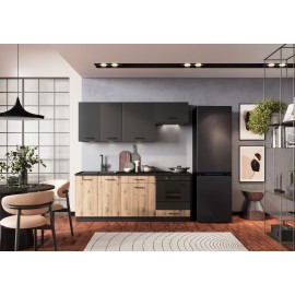 Modelo ANIKA gama economica Modelo ANIKA gama economica